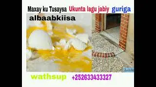 Maxay ku Tusaysa Ukunta lagu jabiyay guriga albaabkiisa