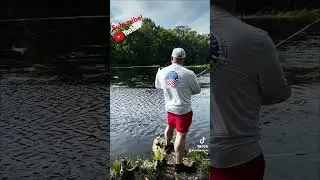 Click that subscribe button ! #fishing #bassfishing #subscribe #youtube #outdoors #adventure