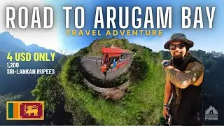 CHEAP BUS FROM ELLA TO ARUGAM BAY | The Roller Coaster Ride  To Arugam Bay Sri Lanka 4K #srilanka