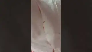 Reinforcing Urethane Rubber Armor with Fiberglass Cloth!