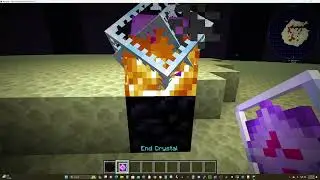 Minecraft Ender Dragon Missing
