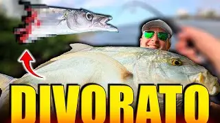 PESCE GIGANTE HA DISTRUTTO IL MIO BARRACUDA!!! COMBATTIMENTO ESTREMO A SPINNING!