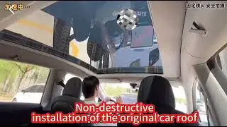 Tesla Model Y Electric Sunshade Installation | Essential Model Y Accessories