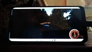 Dirt Rally (2015) Pocophone F1 Windows 11 ARM