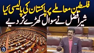 Sheer Afzal Questions Pakistan&rsquo;s Policy On Palestine - Aaj News