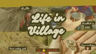 Village life vlog | A small break from city life #village vlog