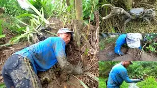 e63 Kuray | Land Crab Hunting | Pandudukot & Pandidilig | D Ilocano Hunter