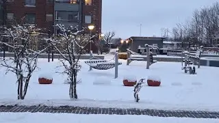 Europe...📍DENMARK  in winter