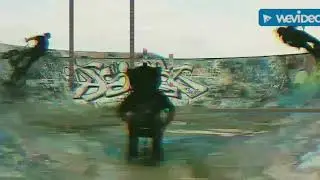 Getting Some Action ft. B-Phokus & Steve Jessup (Official Music Video)