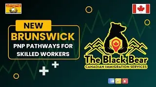 New Brunswick PNP 2025 | Fast PR for Skilled Workers & Express Entry | Canada Immigration Guide