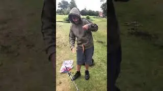 Nice golden Rudd