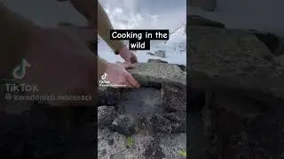 Wild Cooking wow #viral #survival #satisfying #camping #cook #wild