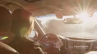 Subaru EyeSight Stories