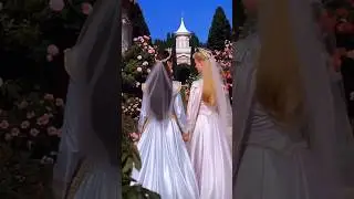 Princess and the Pauper reimagined