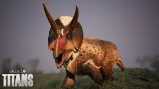 ACHARAM QUE EU IA CORRER… 🦏🔥 TRICERATOPS PEITA T-REX!  |Path Of Titans