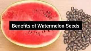 Benefits of Watermelon Seeds