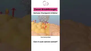 Cancer Breakthrough! Immune Checkpoint Inhibitor