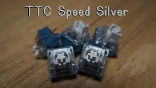 Обзор TTC Speed ​​Silver | Обычный коммутатор TTC?