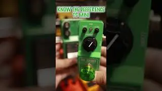 TUBE SCREAMER2種の違い🎸TS9DX/TS MINI #ibanez #tubescreamer #ts9 #tsmini