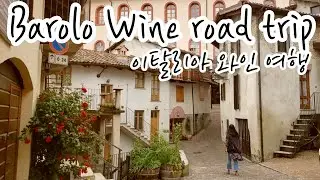 🇮🇹Barolo Wine Road Trip - 이탈리아 와인 여행! 바롤로 와인 마시러가요!