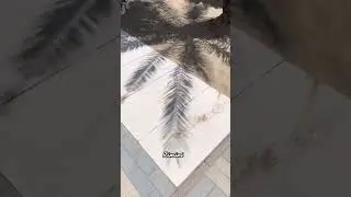 Почивка в Римини, Италия - 