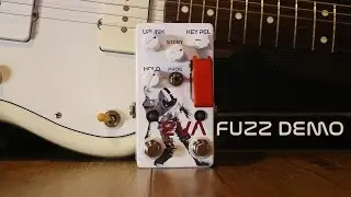 EVA Fuzz Production Version Demo (#81)