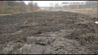 Błoto zamiast zieleni - krajobraz nad Cybiną po tzw 