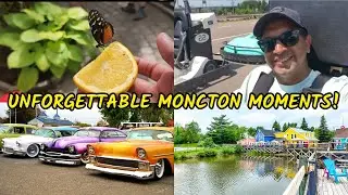 Moncton Fun Day :: Butterfly World, Go-Karts & Antique Cars || Moncton Trip Part 3