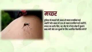 Larval Control of Mosquitoes for community participation(Hindi)