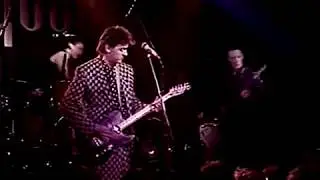 Robyn Hitchcock & The Egyptians - 