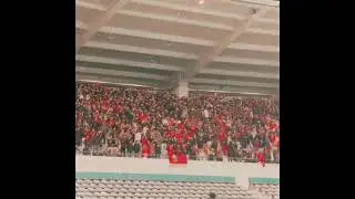 Bancada do @slbenfica em festa 🔴⚪️