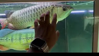 Short visit in aqua gallery 