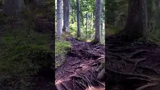 And again I'm going up #hiking #adventure #travel #mountains #fall #solohiking #hikingbc