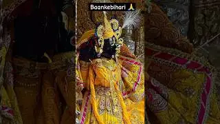 Baakebihari🙏 #trending#vrindavan#mathura#viralvideo#baankebihari#bankebihari#krishnabhajan#krishna