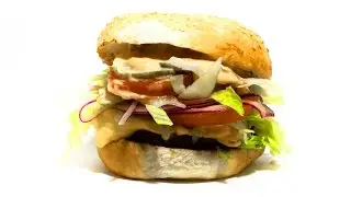 Rotting Hamburger Timelapse Footage