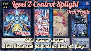 YU-GI-OH! NEW ARCHETYPE SPLIGHT DECK PROFILE [EDOPRO]