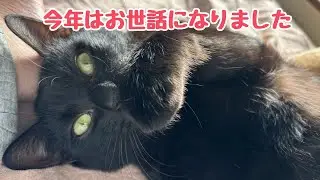 2025年ももうすぐ終わりですね