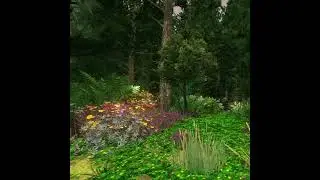 Une minute en for&ecirc;t | Flowscape cinematique #1