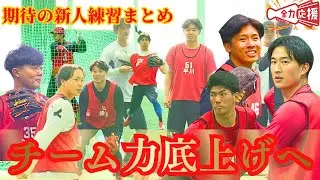 【カープ期待の新人練習まとめ】あなたが活躍を期待する選手は？【球団認定】カープ全力応援チャンネル