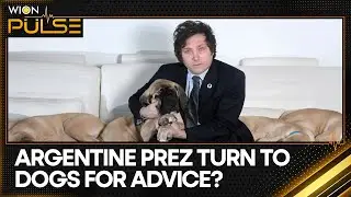 Does Argentine President Javier Milei communicate with a dead dog? | WION Pulse