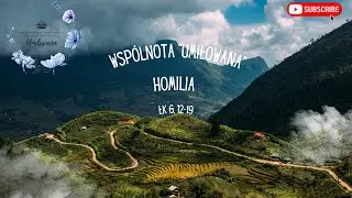 Homilia | Wspólnota 