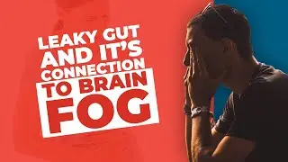Leaky Gut And It&rsquo;s Connection To Brain Fog