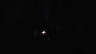 Full Moon...through the trees...