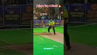 Prince Maxwell Top 4 Short 🔥 #cricket #shorts #ytshorts #arksports17 #princemaxwell