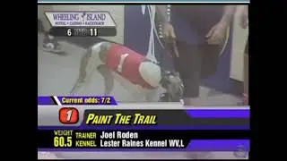 Paint The Trail #1 Comes on strong to get the win at the wire