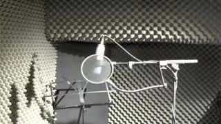 Lemme Holla-Angel