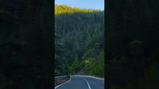 Paphos forest through Stavros tis Psokas road is one of the most scenic routes of Cyprus.