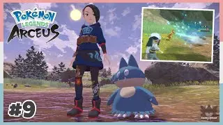 Battling Mai & Heading To Deertrack Heights In Pokemon Legends Arceus #9 *No Commentary*
