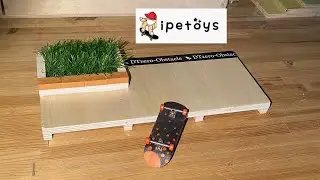 New Ipetoys Ramp!
