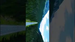 Forest Highway Road...Watch till the end